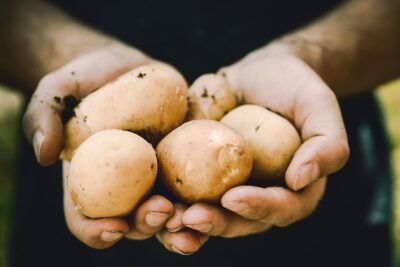 farm to fork