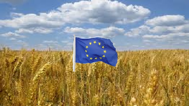 eu for ukraine